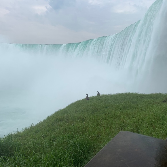 Meet your Posher - Picture 1 of 1